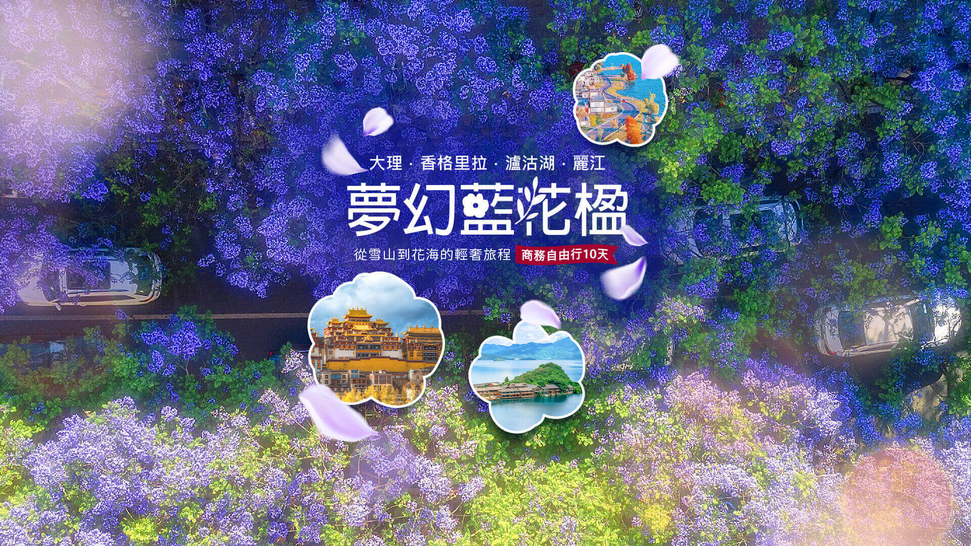 2026夢幻藍花楹｜大理．香格里拉．瀘沽湖．麗江10日自由行