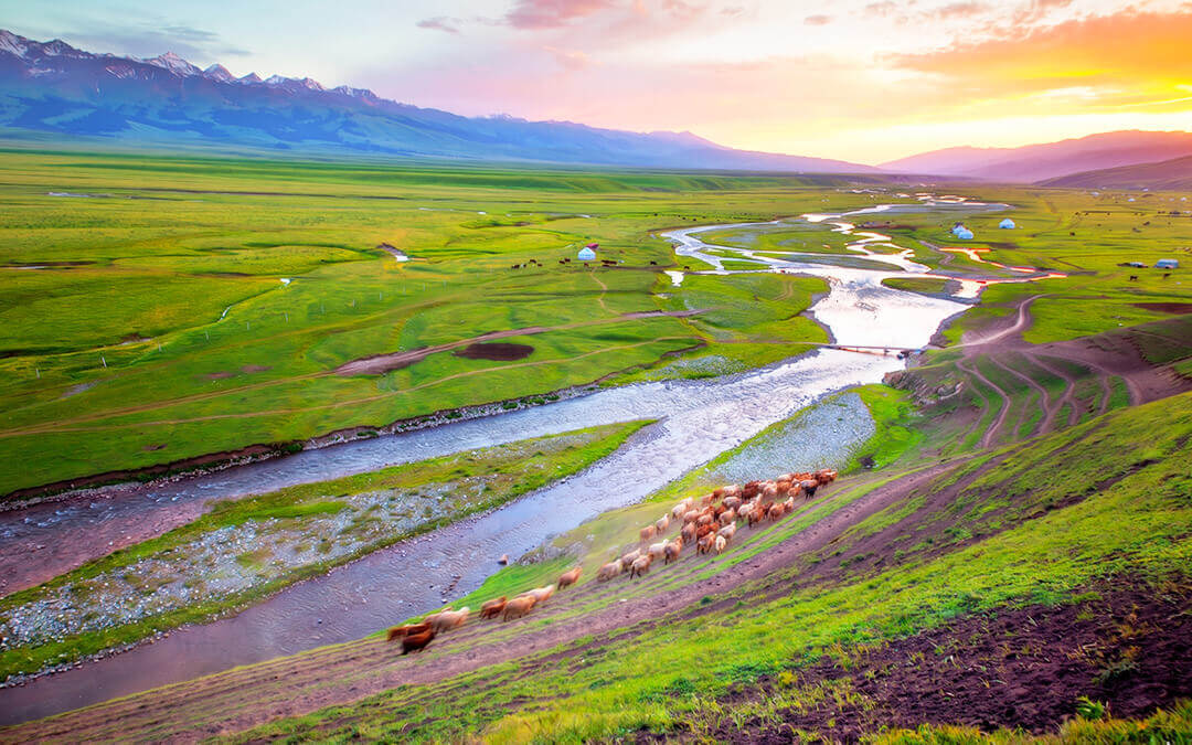 巴音布魯克大草原
