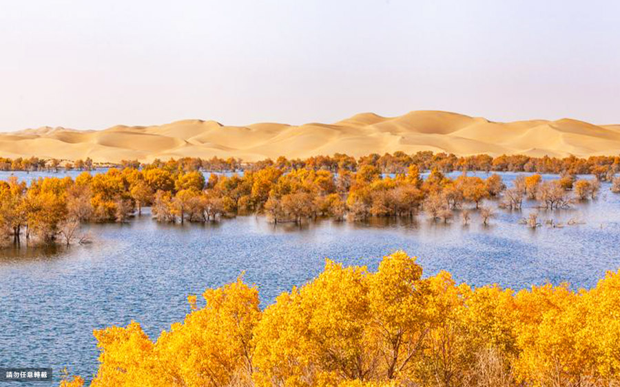 情迷金秋南疆單飛自由行13日