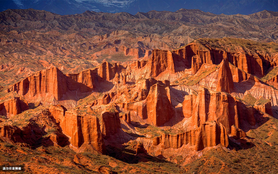 20251024情迷金秋南疆~西域風情.雙胡楊林.帕米爾高原盤龍古道單飛自由行13日-網路