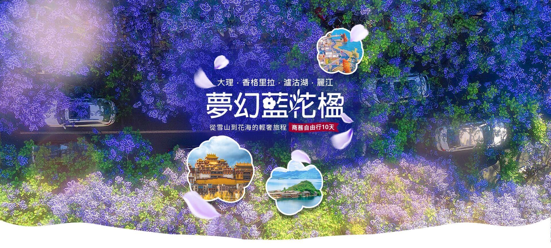 季節限定~紫色夢幻藍花楹 .大理古城.香格里拉.瀘沽湖女兒國.麗江玉龍雪山商務自由行10日