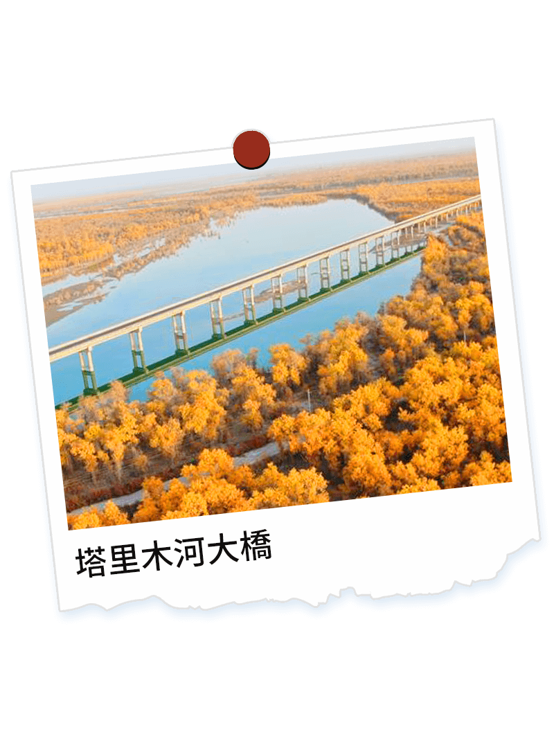 塔里木河大橋
