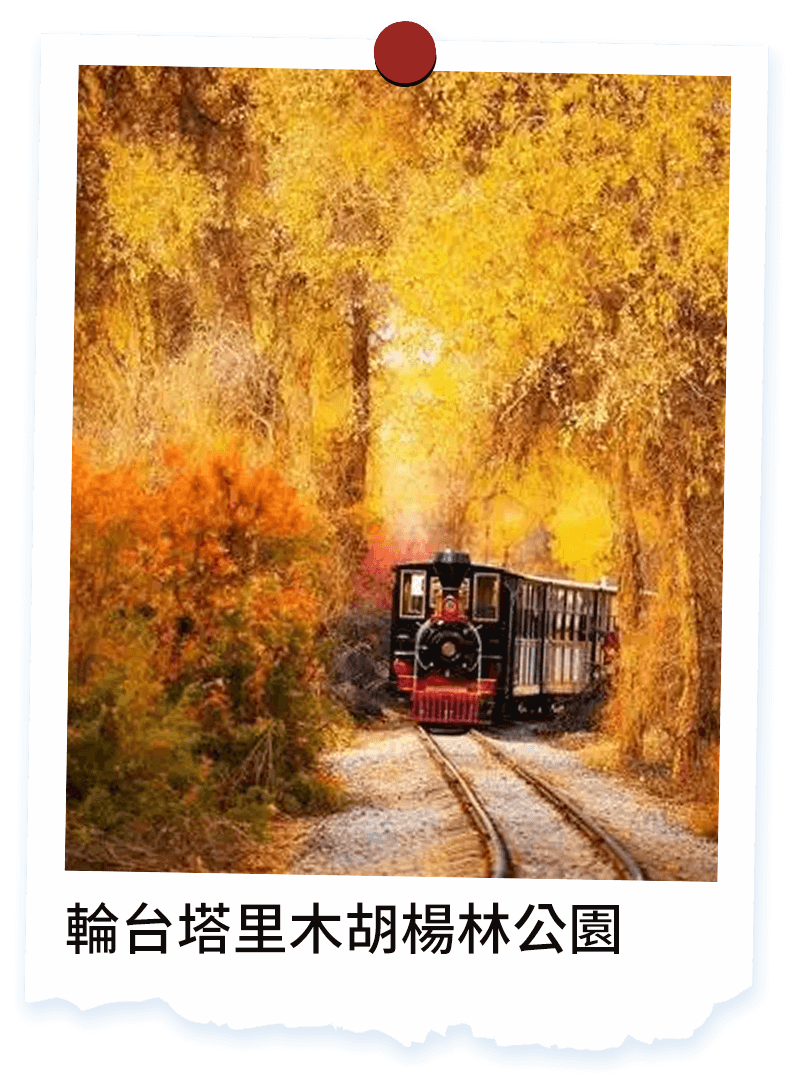 輪台塔里木胡楊林公園 