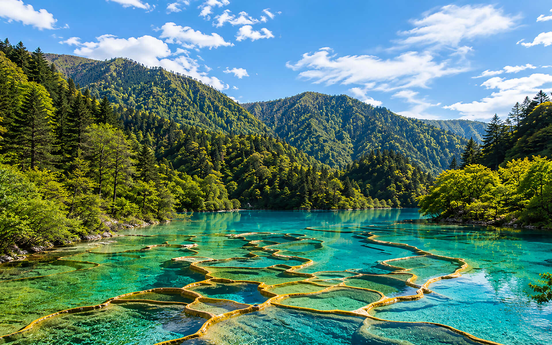 五花海