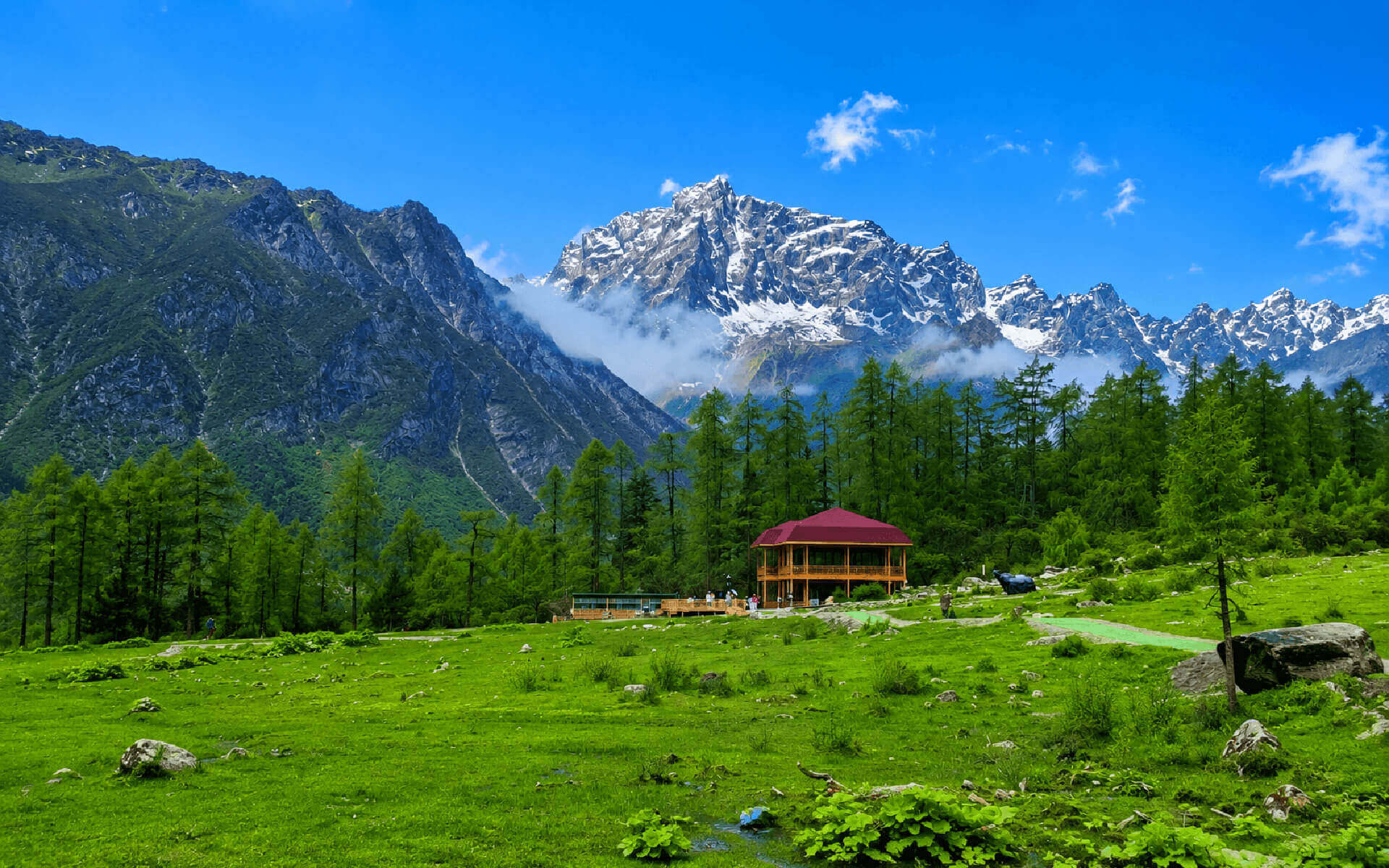 高山草甸