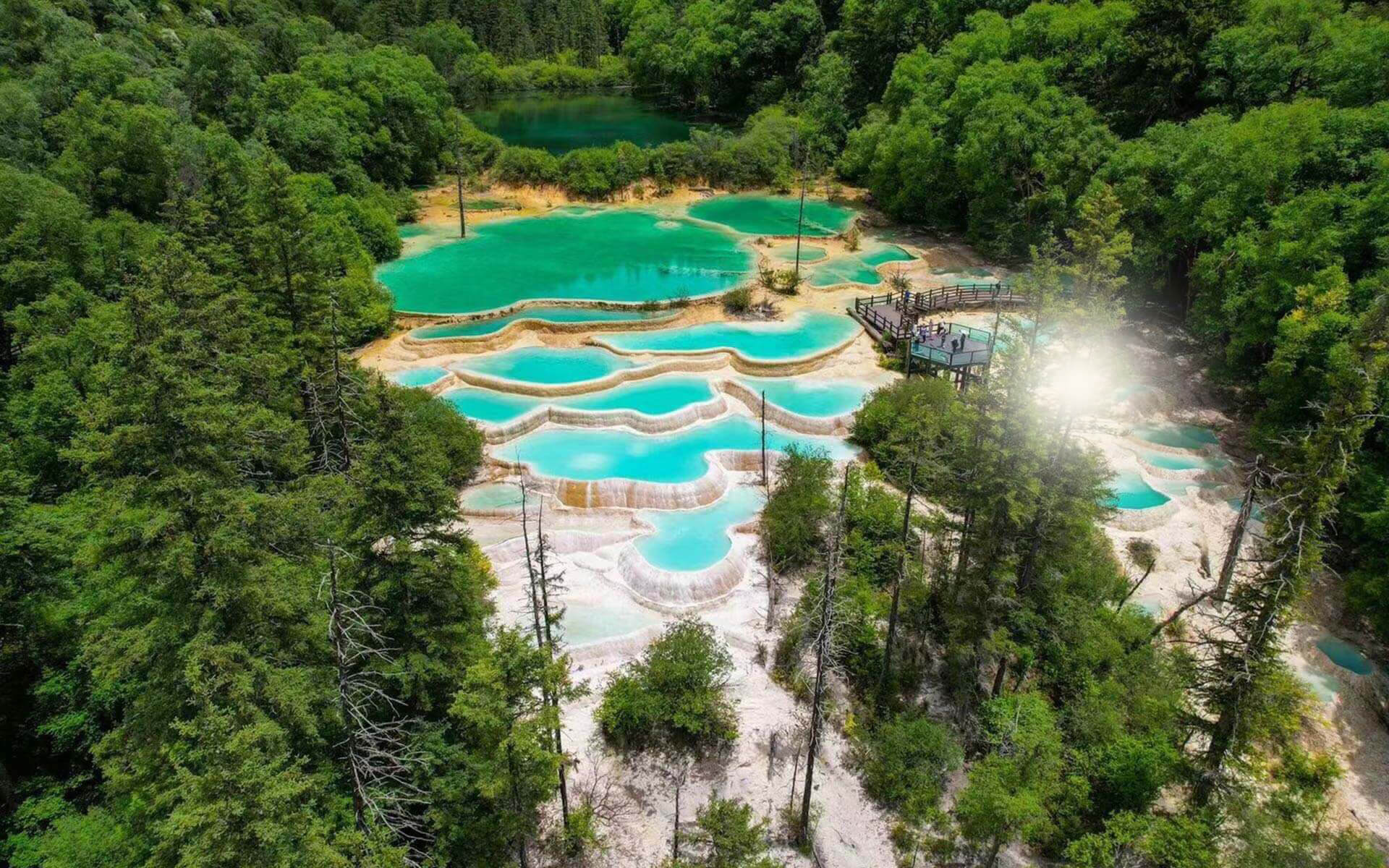 千層鈣化