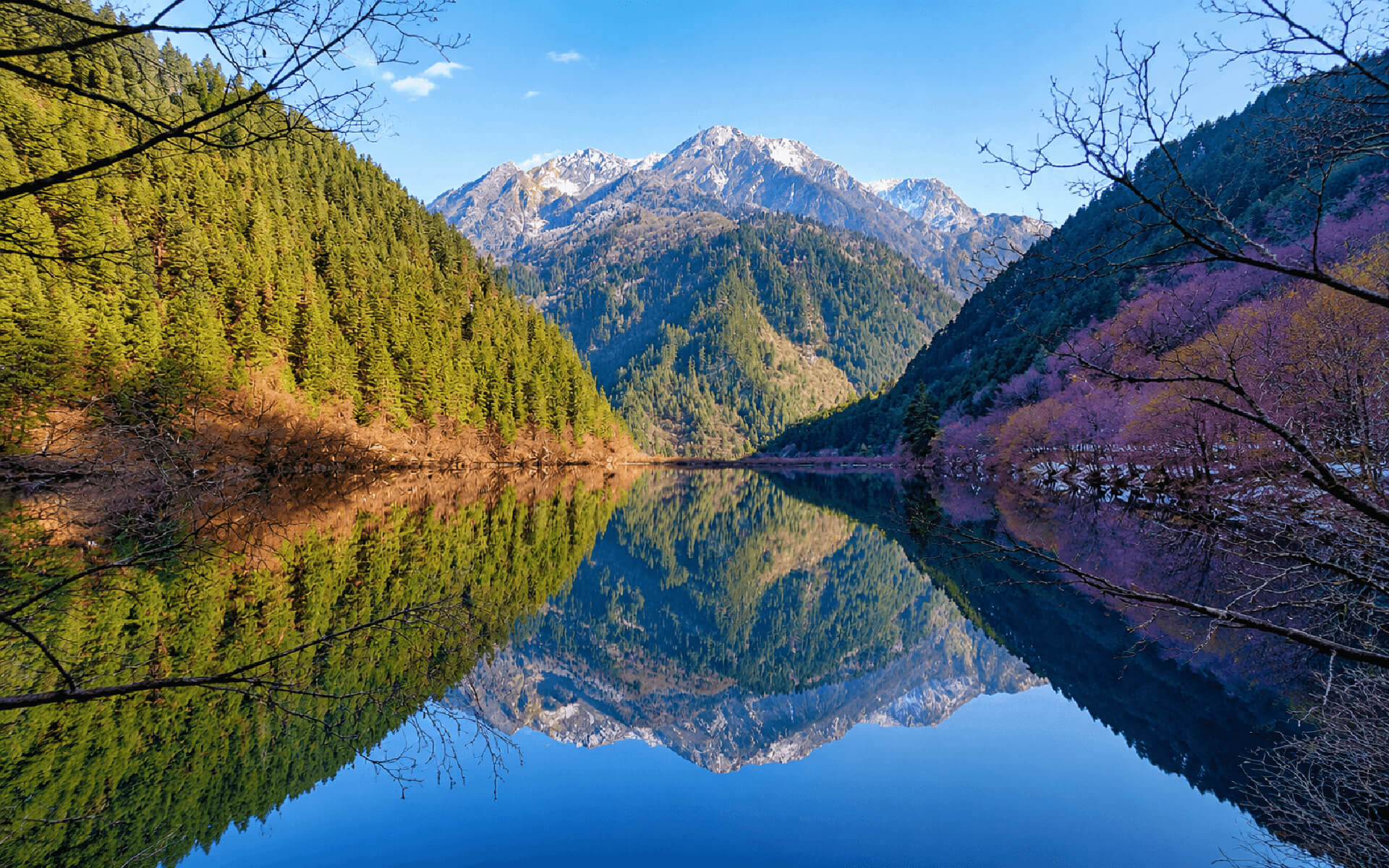 鏡海