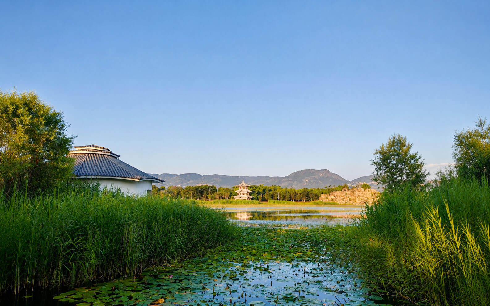 保山青華海國家濕地公園