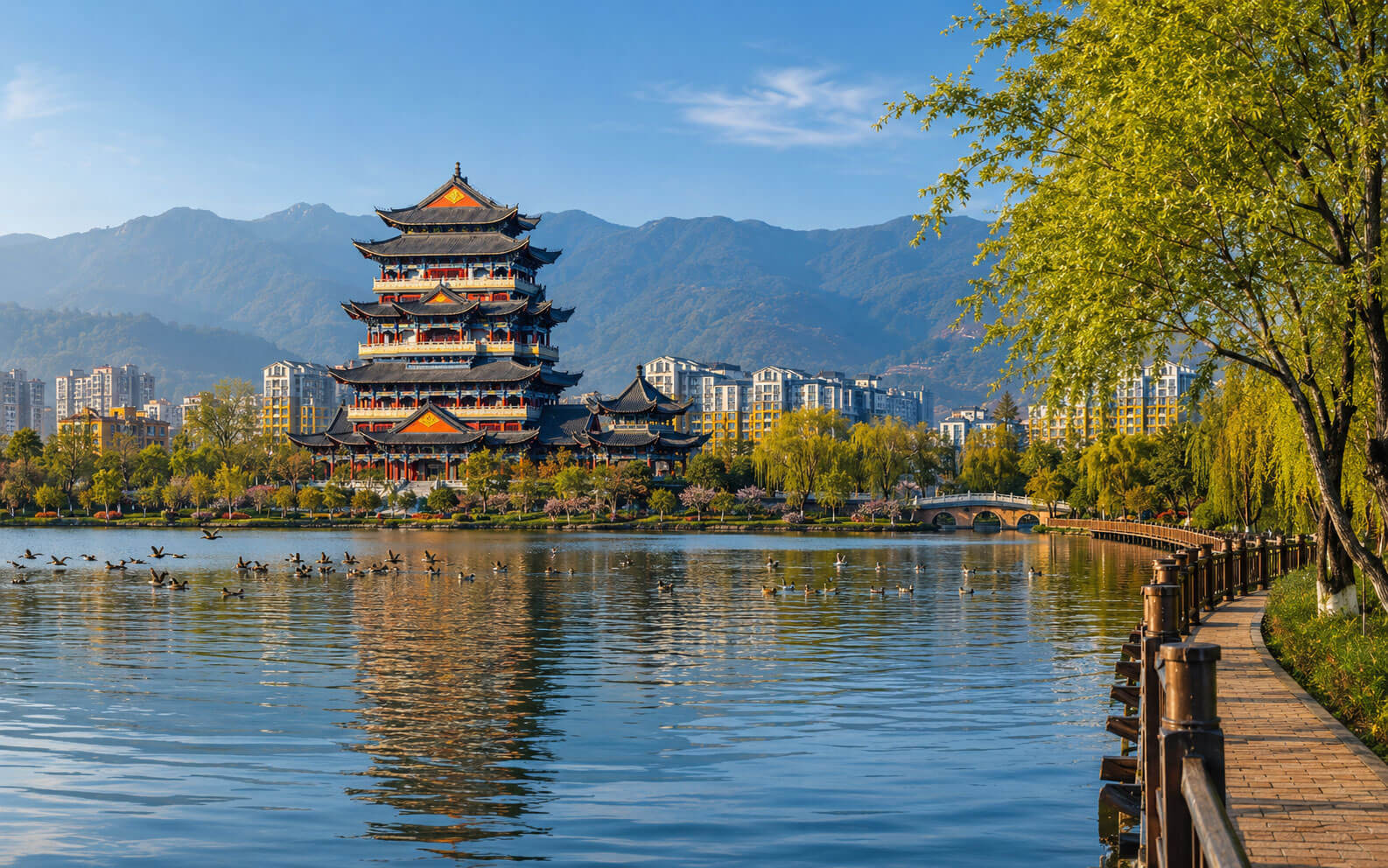 保山青華海國家濕地公園