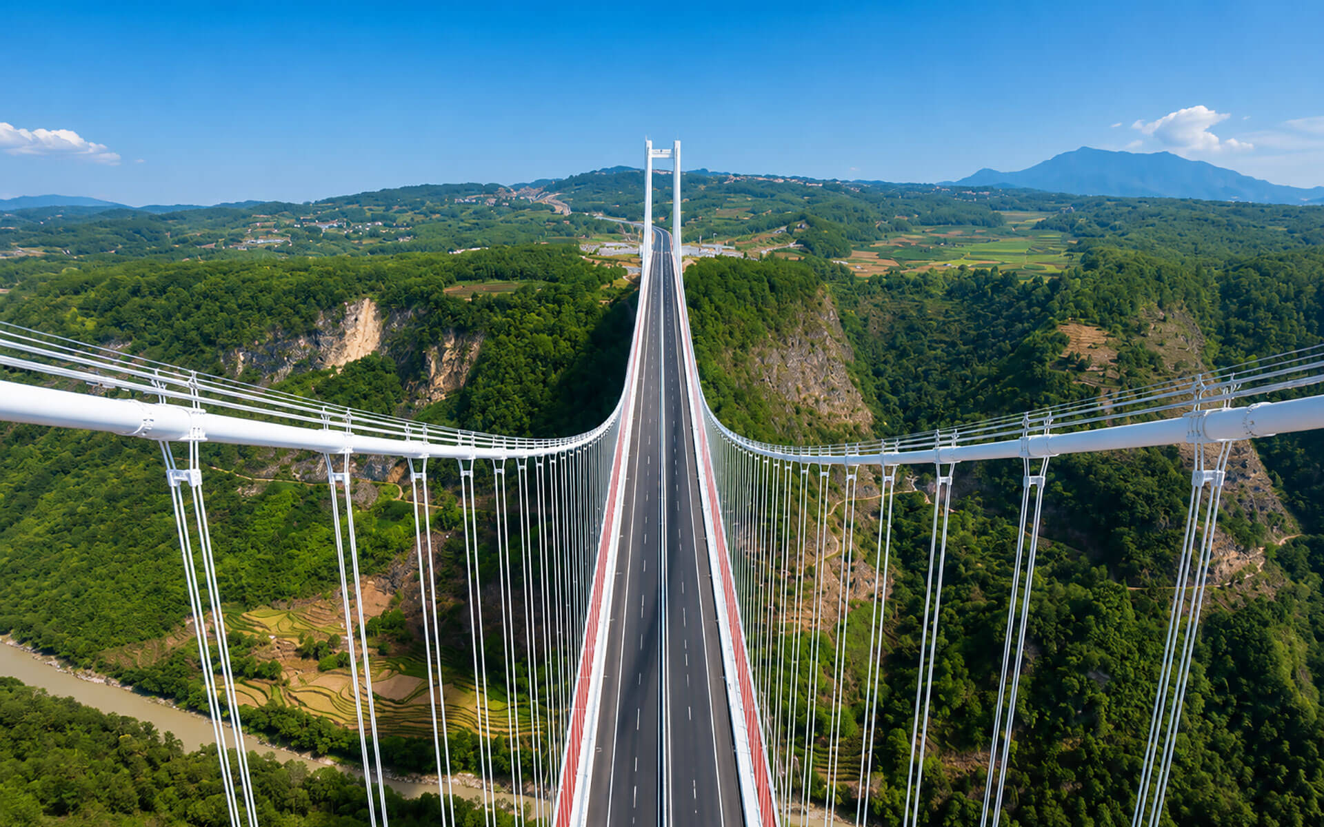 龍江特大橋