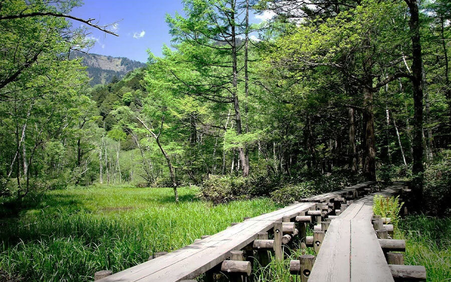 上高地、河童橋、(途經)大正池、中部山岳國立公園