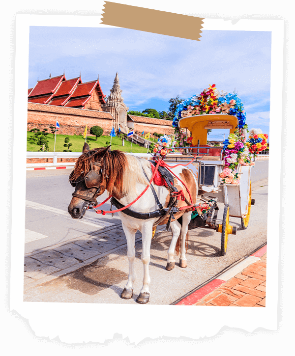 搭乘馬車遊南邦古城