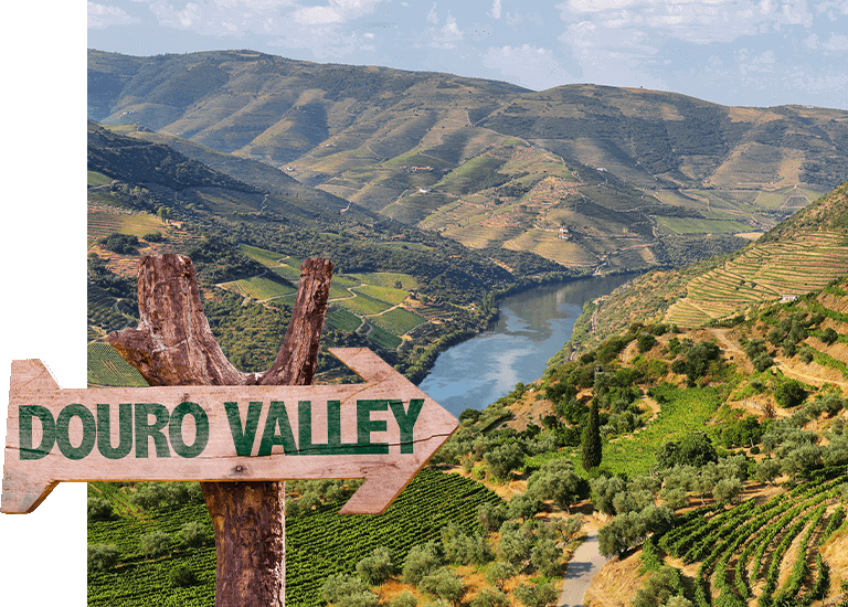 杜羅河谷Douro Valley